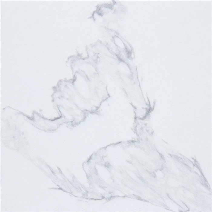calacatta super white quartz bathroom top