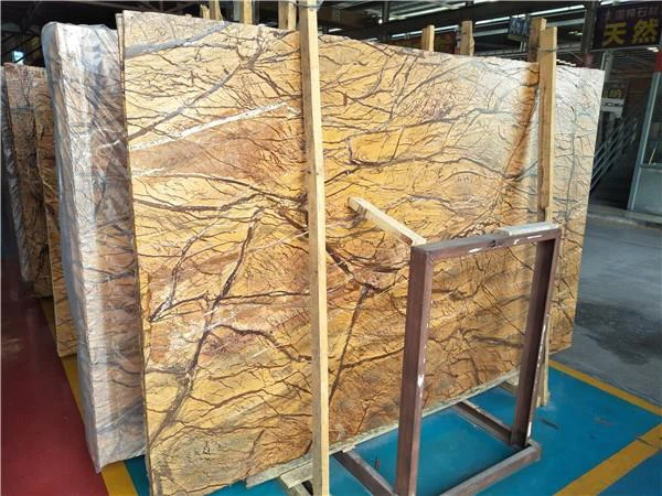 Tropical Rain forest big slab