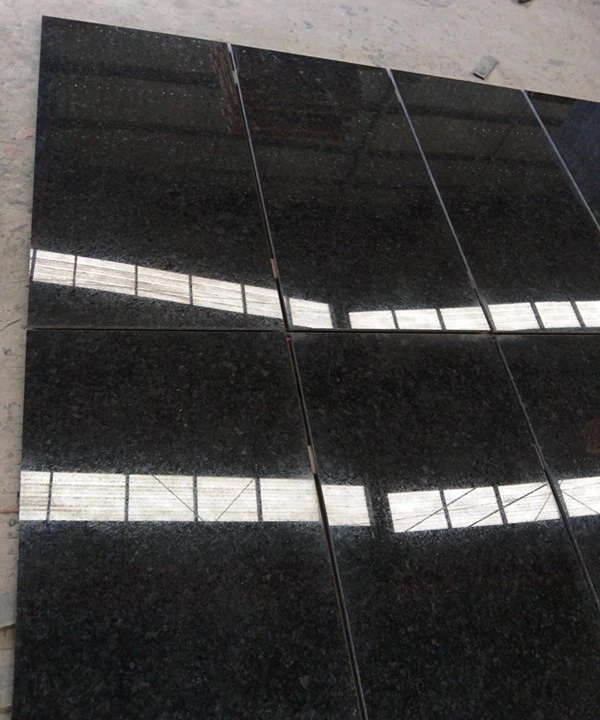 Angola Black Granite floor tiles