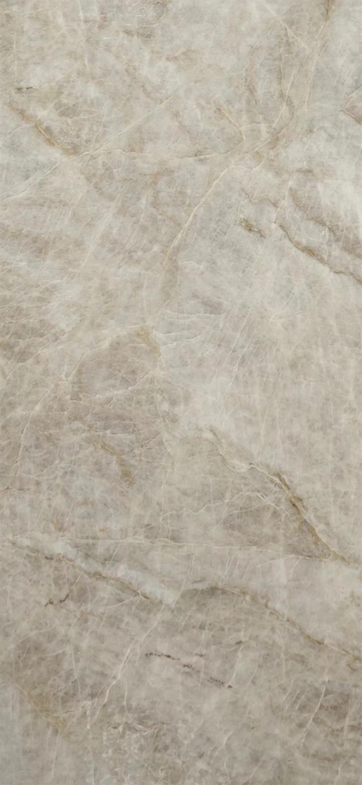 Taj Mahal Quartzite vein